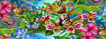 Butterflies And Flowers Facebook Covers